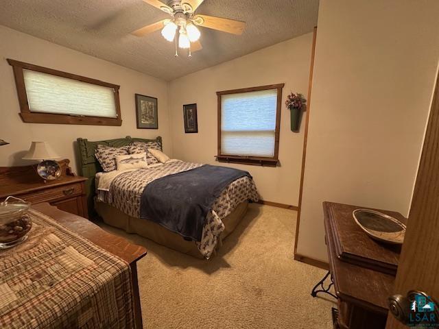 2734 Bear Island River Rd, Ely, MN 55731-0000 Listing Photo  26