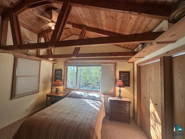2734 Bear Island River Rd, Ely, MN 55731-0000 Listing Photo  27