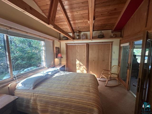 2734 Bear Island River Rd, Ely, MN 55731-0000 Listing Photo  28