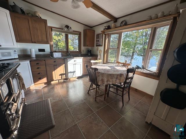 2734 Bear Island River Rd, Ely, MN 55731-0000 Listing Photo  7