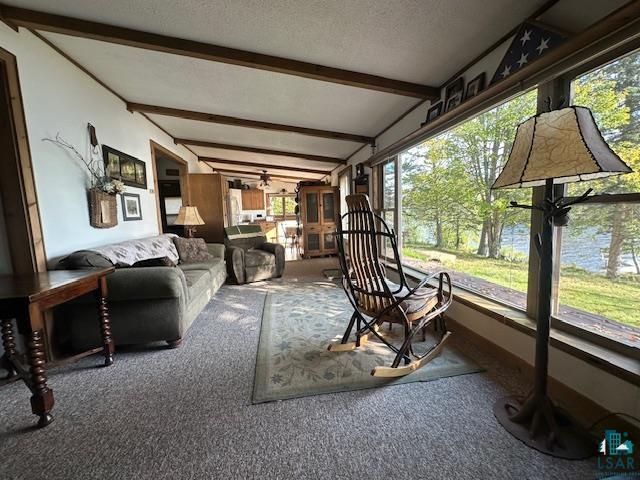 2734 Bear Island River Rd, Ely, MN 55731-0000 Listing Photo  10