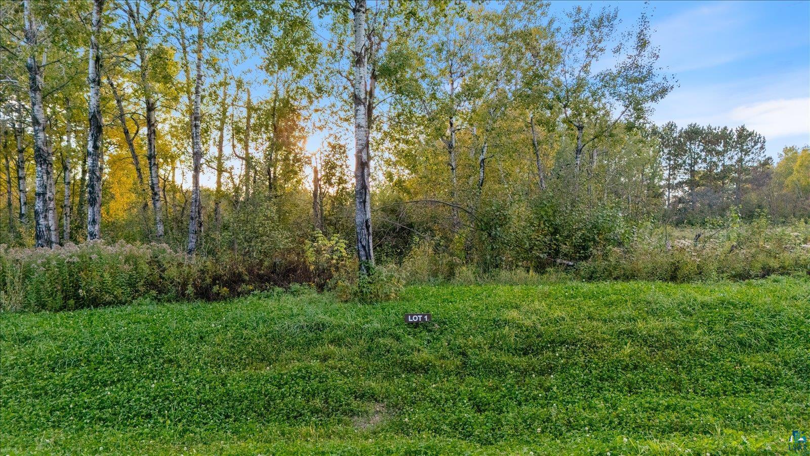TBD Jenny Farms Ln, Hermantown, MN 55810 Listing Photo  1