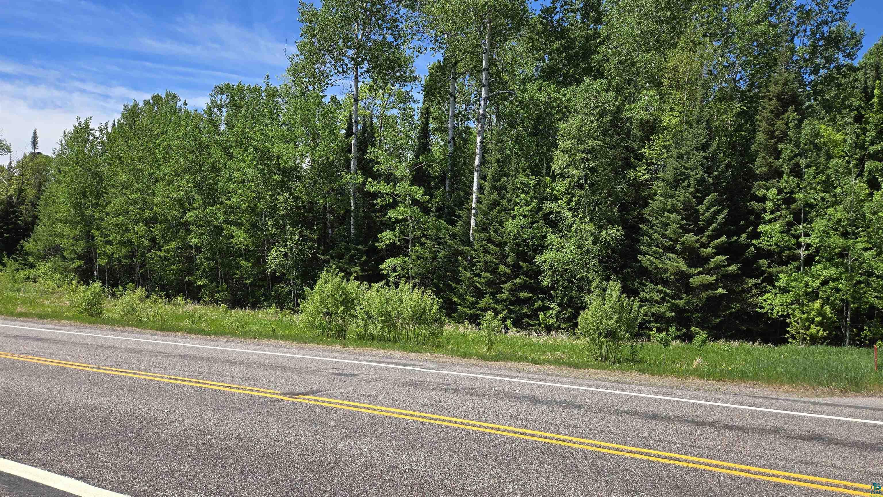 TBD 21 Nett Lake Rd, Orr, MN 55771 Listing Photo  2
