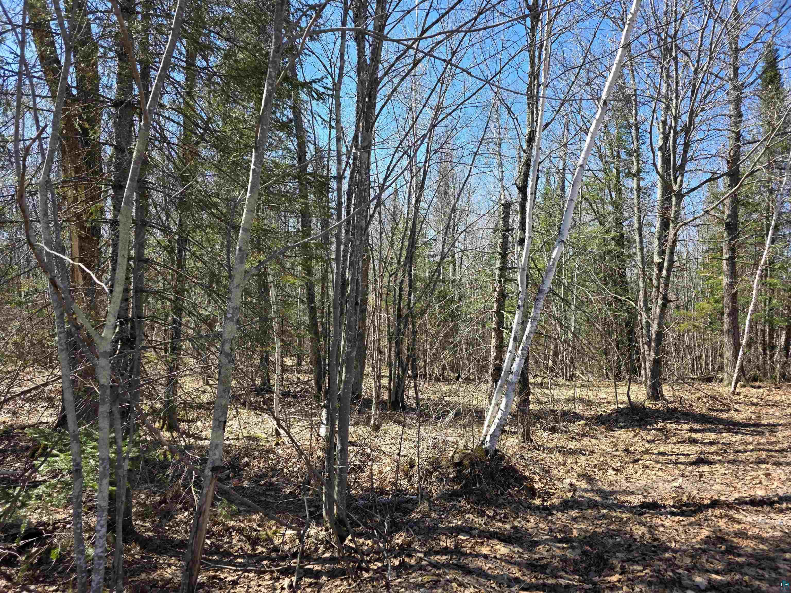 xxx Stark Rd, Cloquet, MN 55720 Listing Photo  3