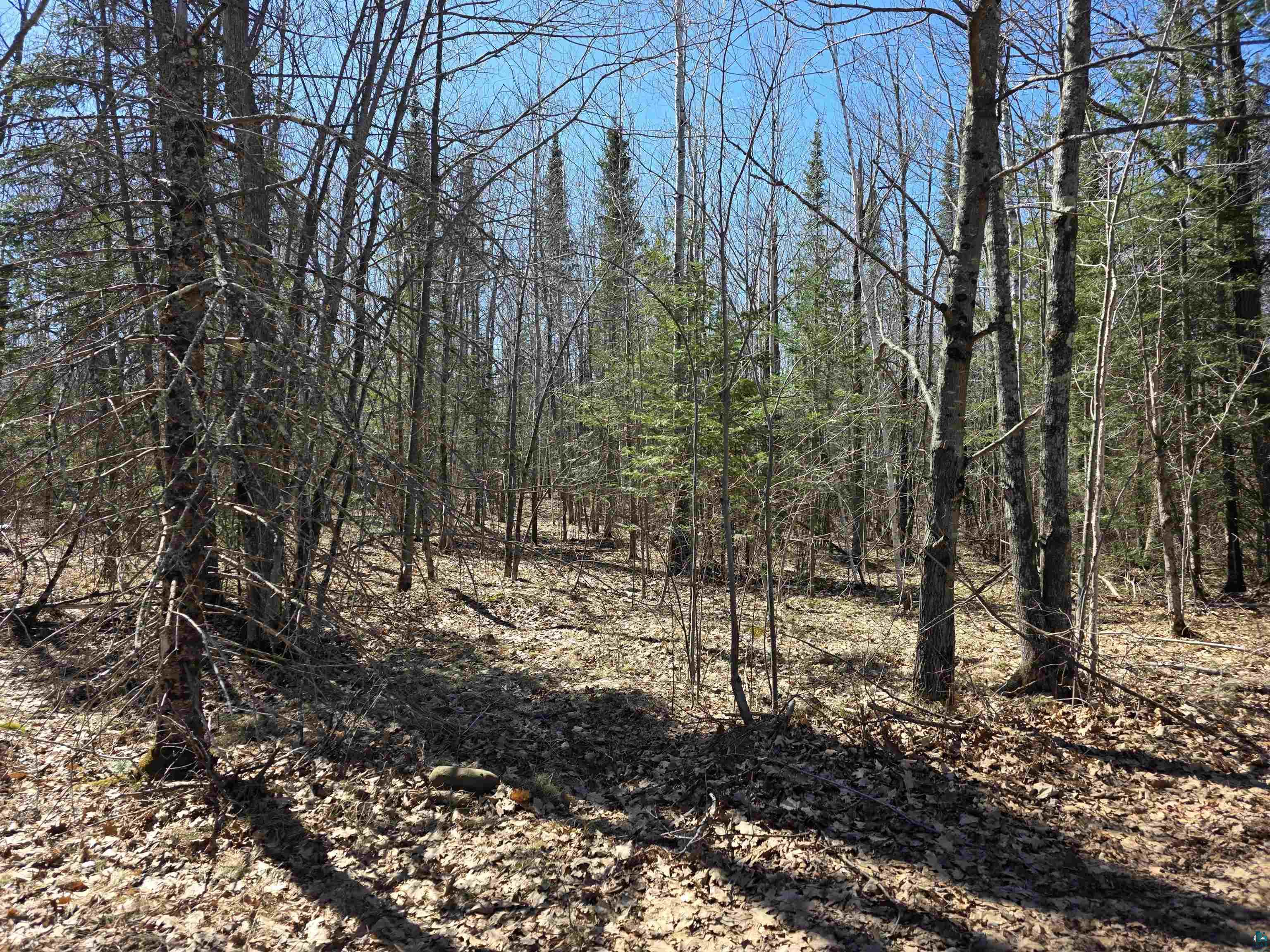 xxx Stark Rd, Cloquet, MN 55720 Listing Photo  4