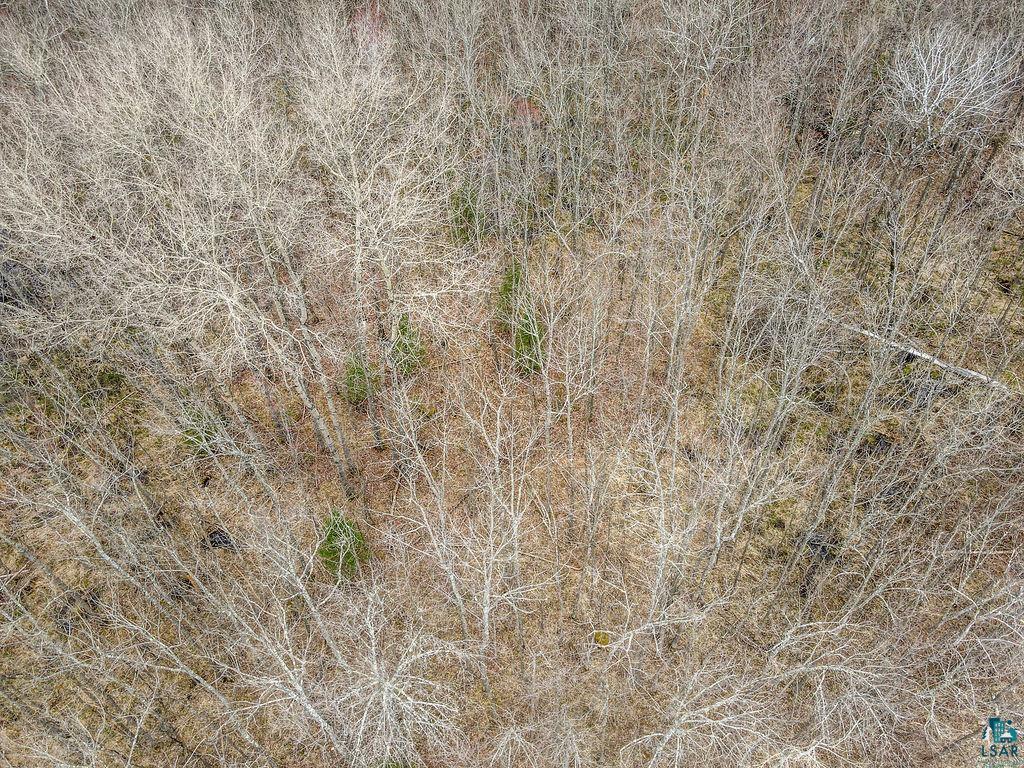 xxx Stark Rd, Cloquet, MN 55720 Listing Photo  8
