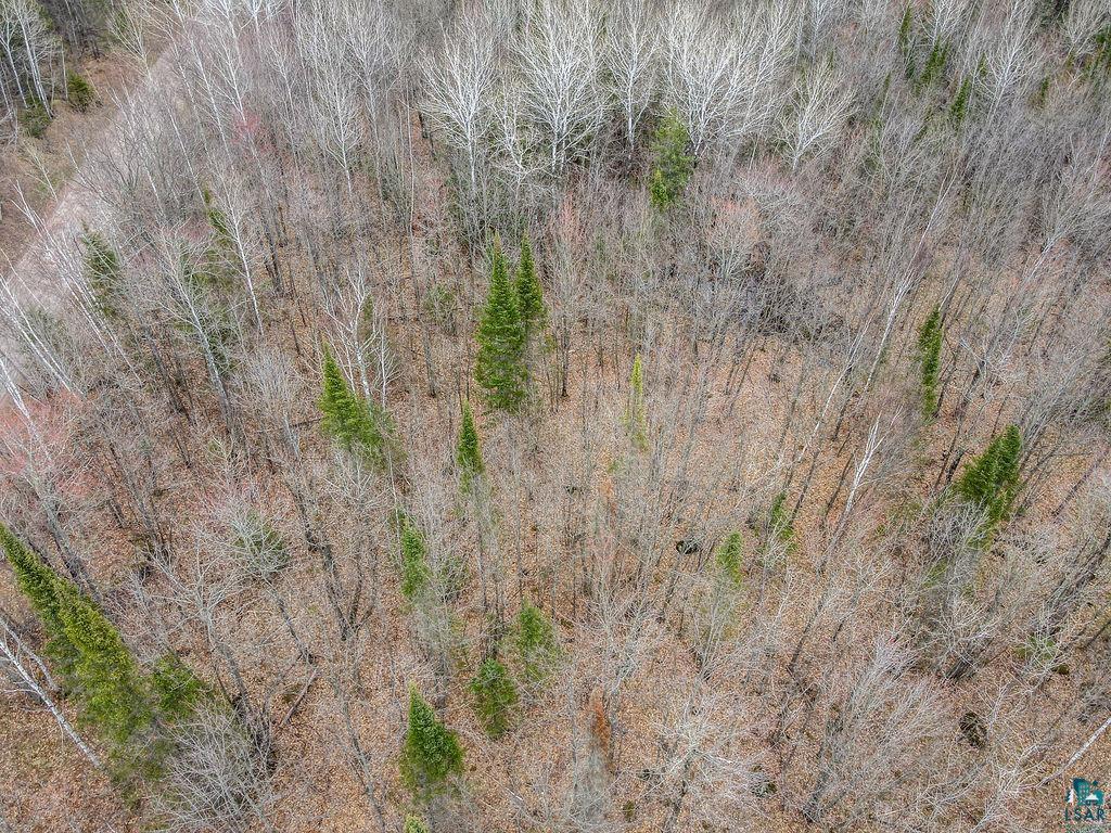 xxx Stark Rd, Cloquet, MN 55720 Listing Photo  9