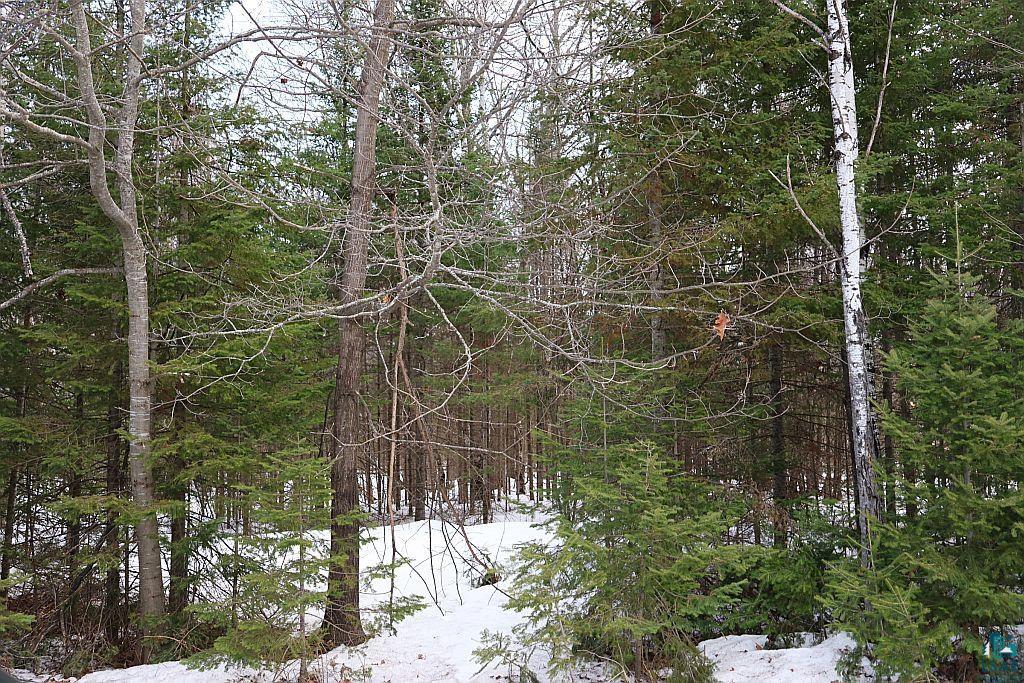 713XX Oulu Rock Rd, Brule, WI 54820 Listing Photo  13