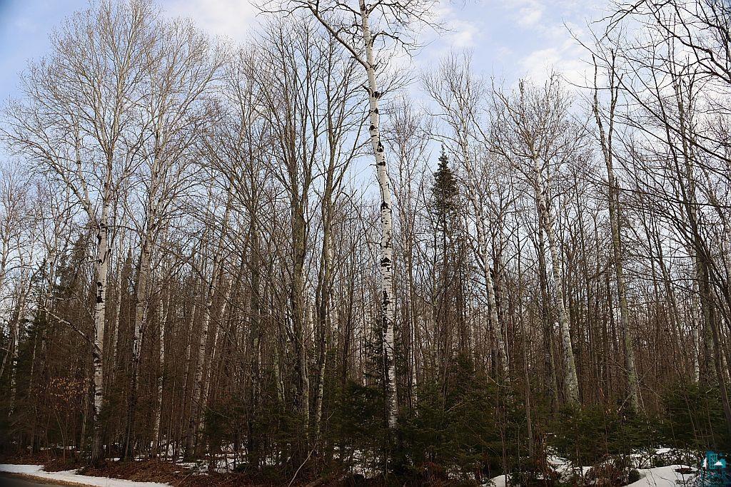 713XX Oulu Rock Rd, Brule, WI 54820 Listing Photo  15