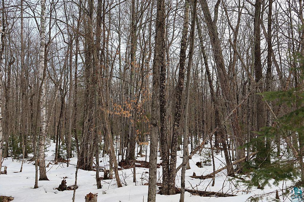 713XX Oulu Rock Rd, Brule, WI 54820 Listing Photo  16