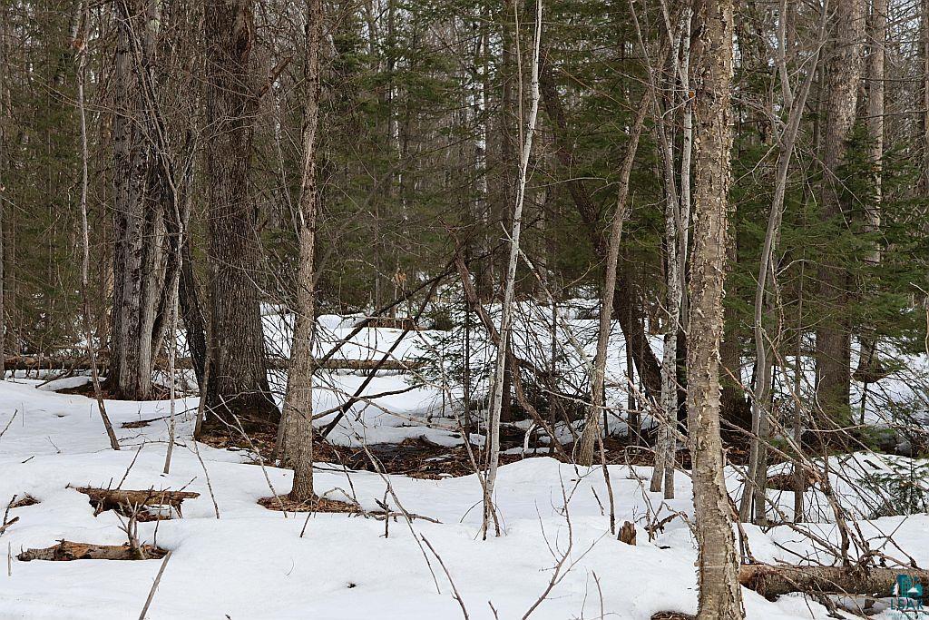 713XX Oulu Rock Rd, Brule, WI 54820 Listing Photo  17