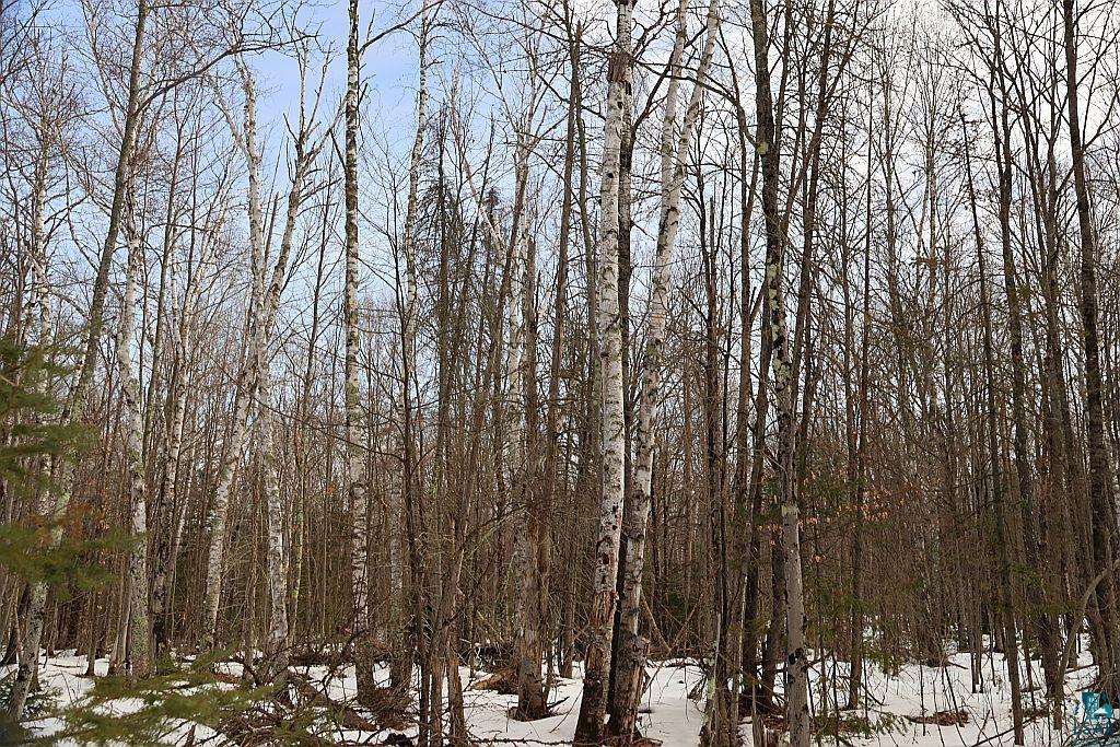 713XX Oulu Rock Rd, Brule, WI 54820 Listing Photo  20