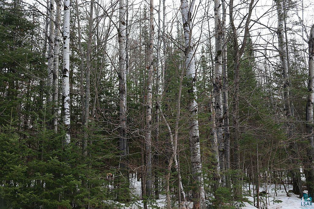 713XX Oulu Rock Rd, Brule, WI 54820 Listing Photo  21