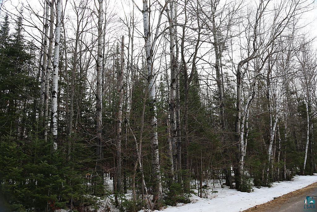 713XX Oulu Rock Rd, Brule, WI 54820 Listing Photo  22
