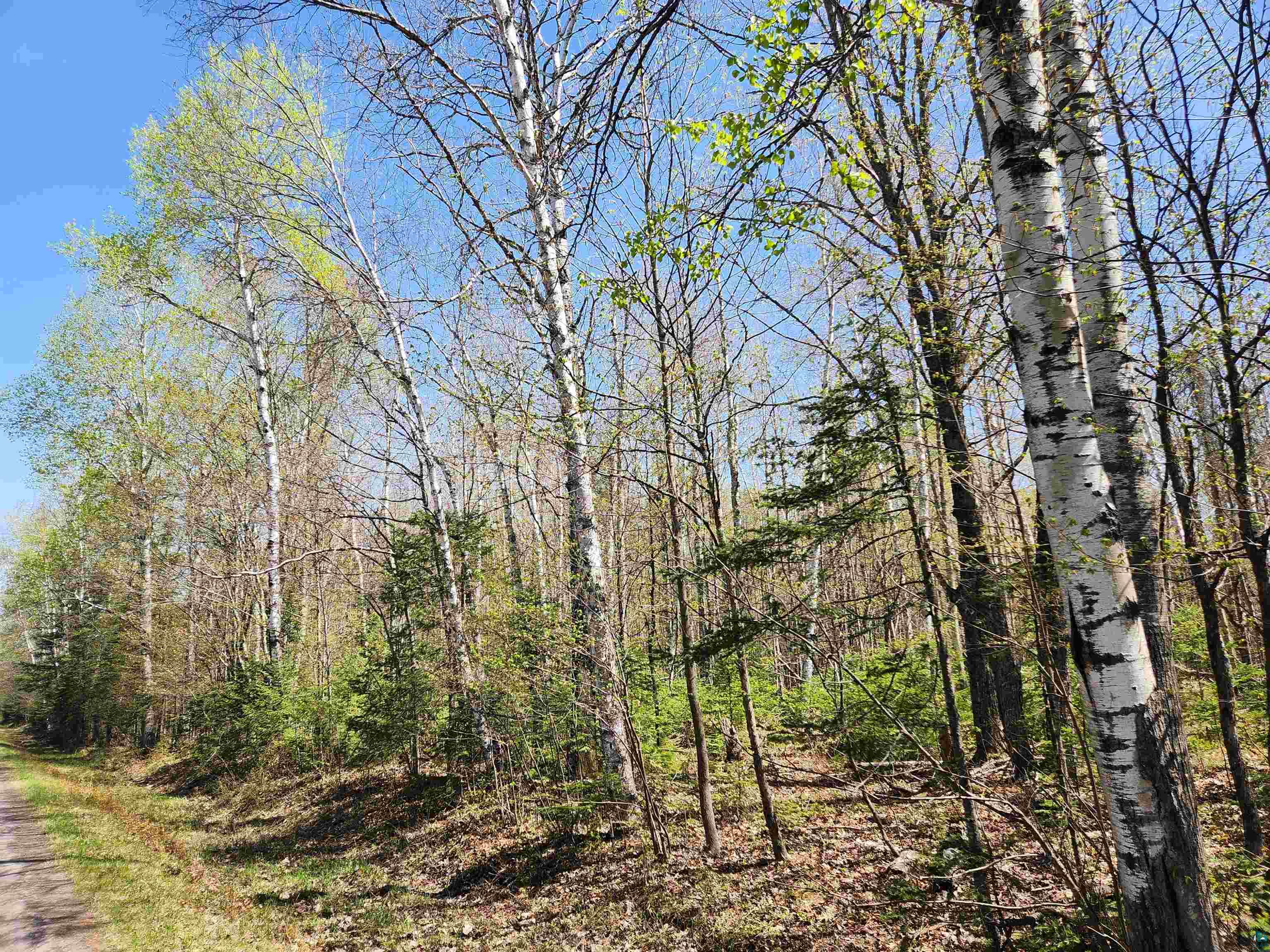 713XX Oulu Rock Rd, Brule, WI 54820 Listing Photo  23