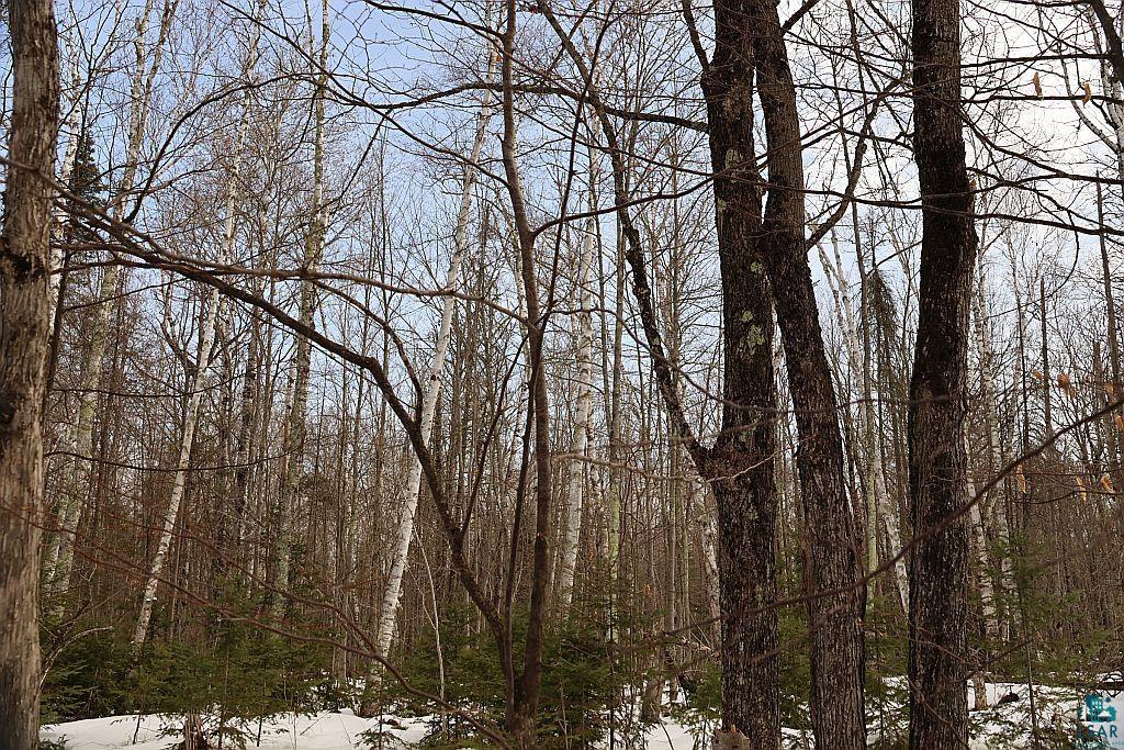 713XX Oulu Rock Rd, Brule, WI 54820 Listing Photo  6