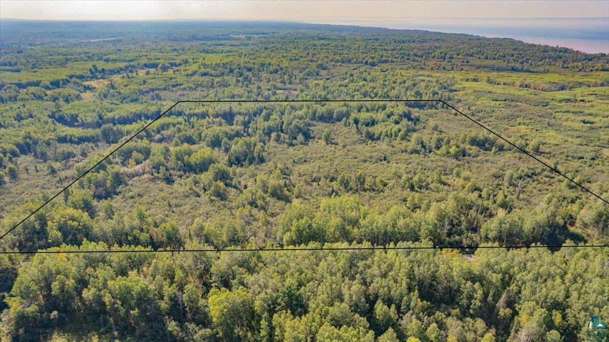 XXXX S Middle River Rd, Lakeside, WI 54874 Listing Photo  3