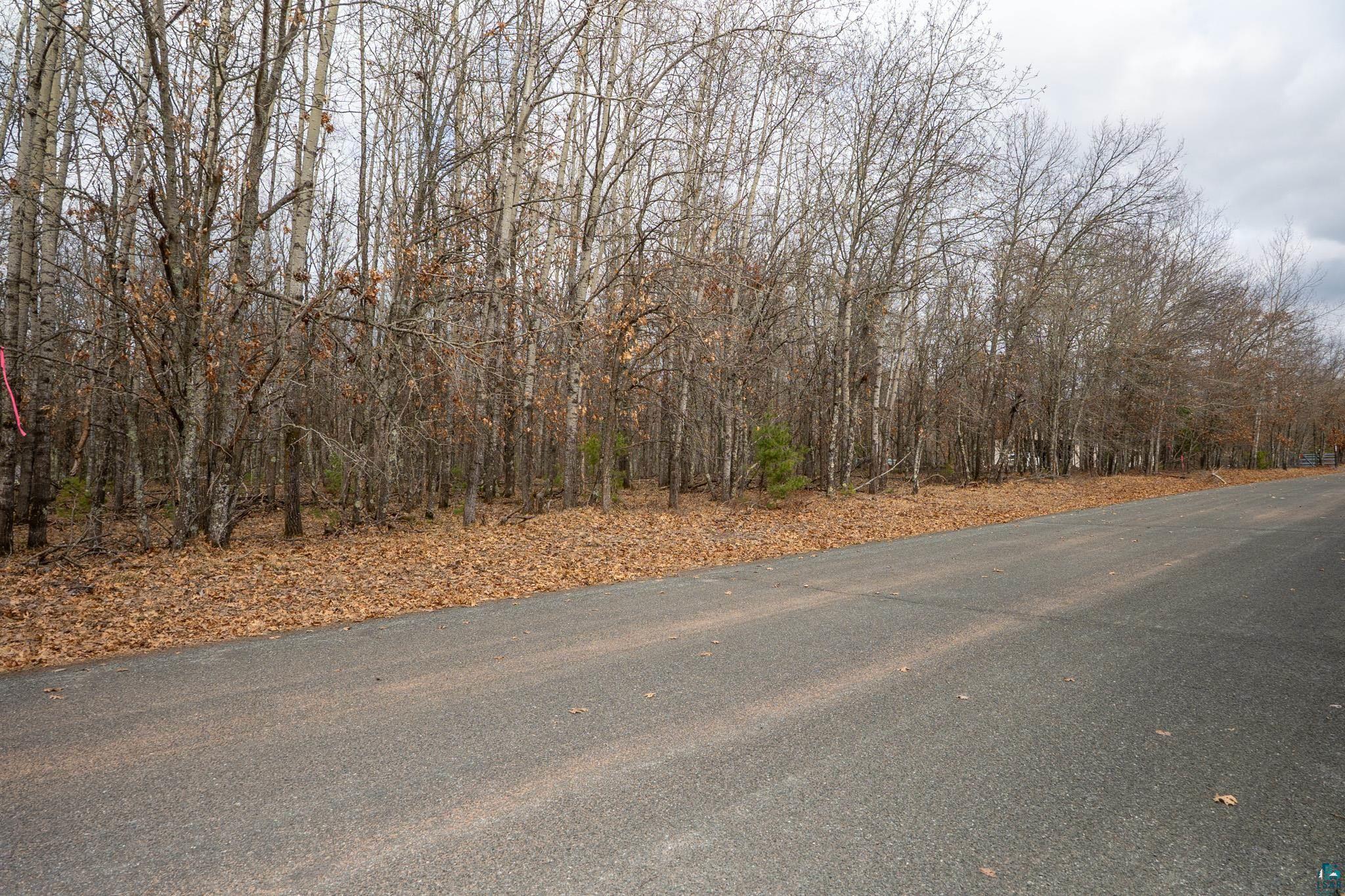 Lot 4 S Madison Ave, Wascott, WI 54838 Listing Photo  5