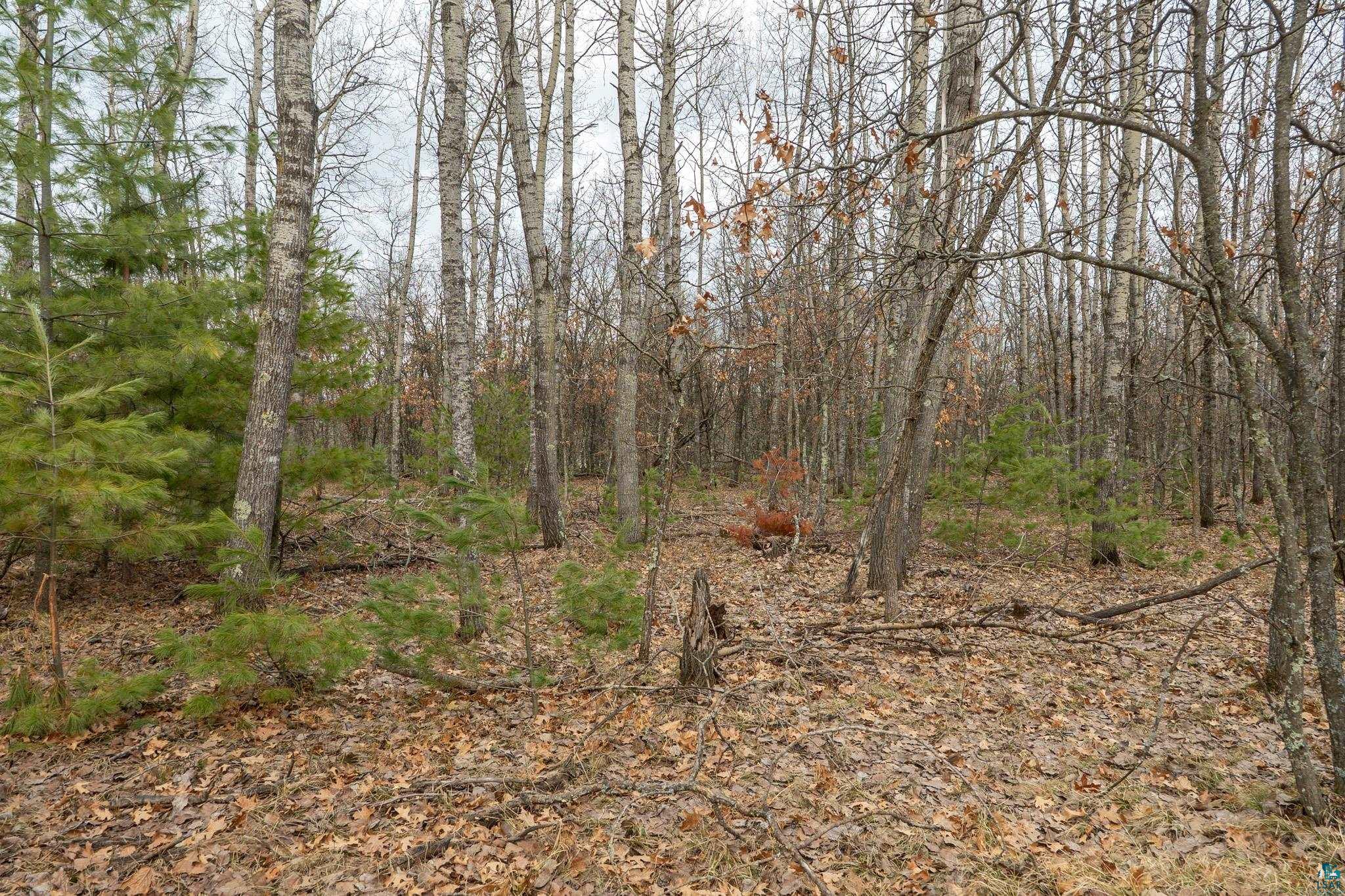 Lot 4 S Madison Ave, Wascott, WI 54838 Listing Photo  7