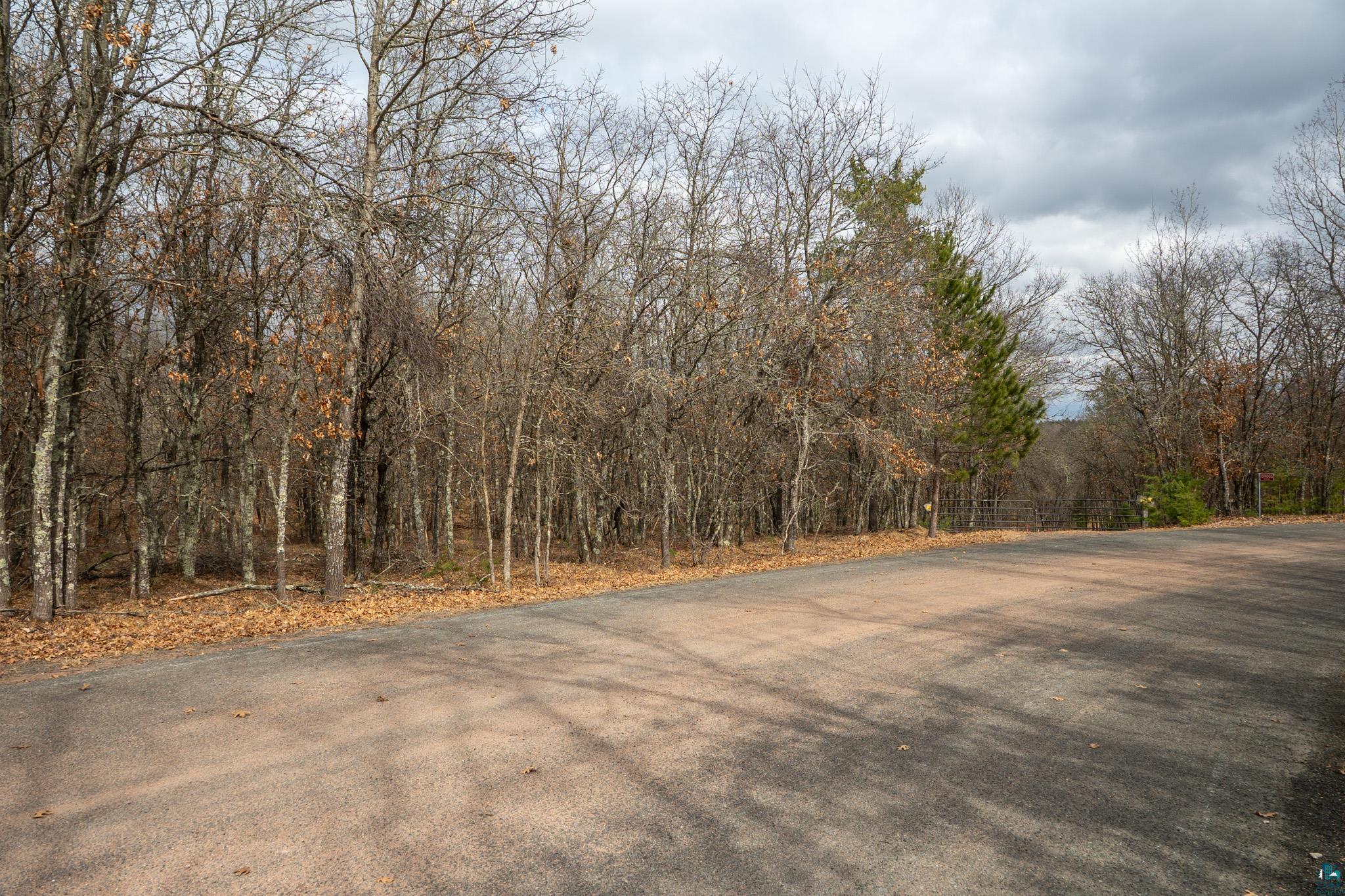 Lot 6 S Madison Ave, Wascott, WI 54838 Listing Photo  5