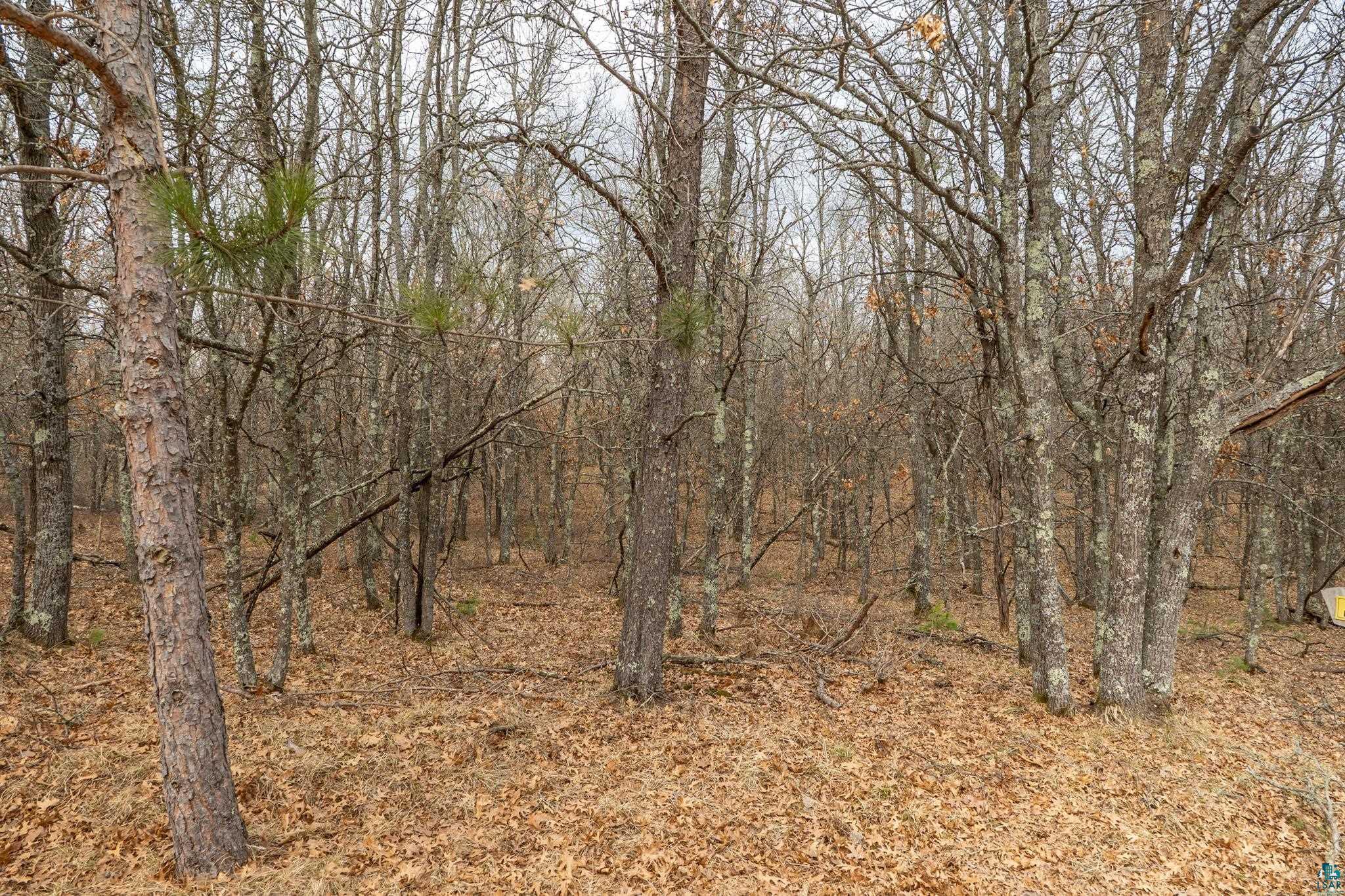 Lot 6 S Madison Ave, Wascott, WI 54838 Listing Photo  6