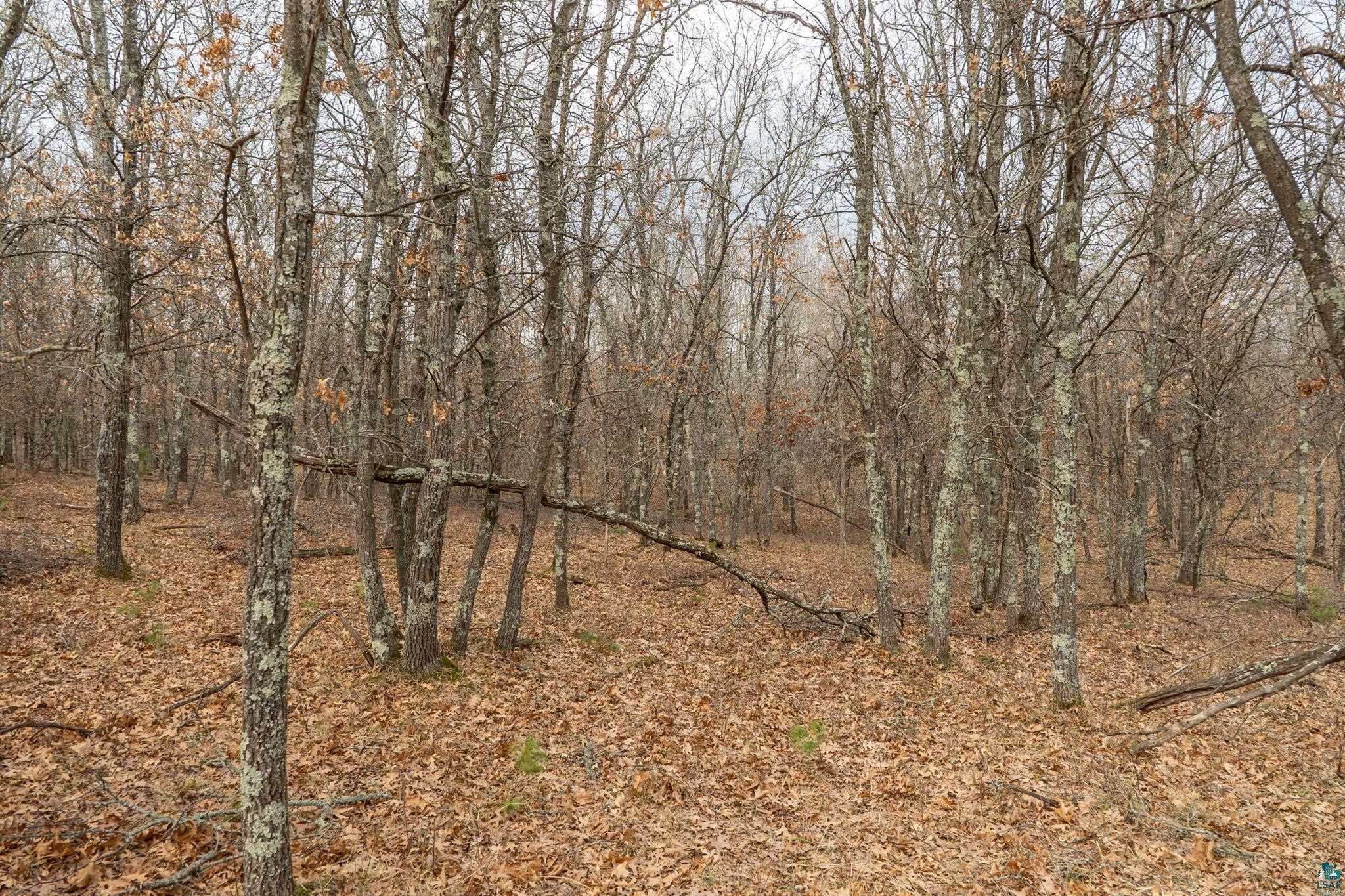 Lot 6 S Madison Ave, Wascott, WI 54838 Listing Photo  7