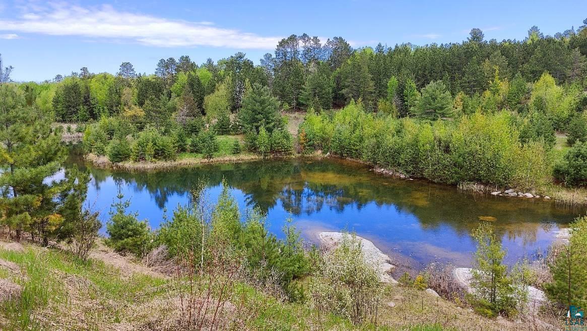 80064 Osprey Pass, Tower, MN 55790 Listing Photo  3