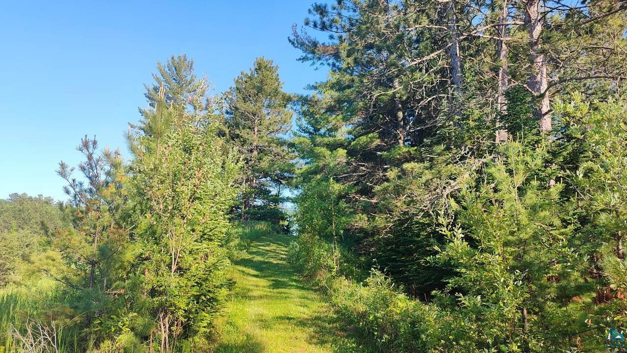 80064 Osprey Pass, Tower, MN 55790 Listing Photo  53