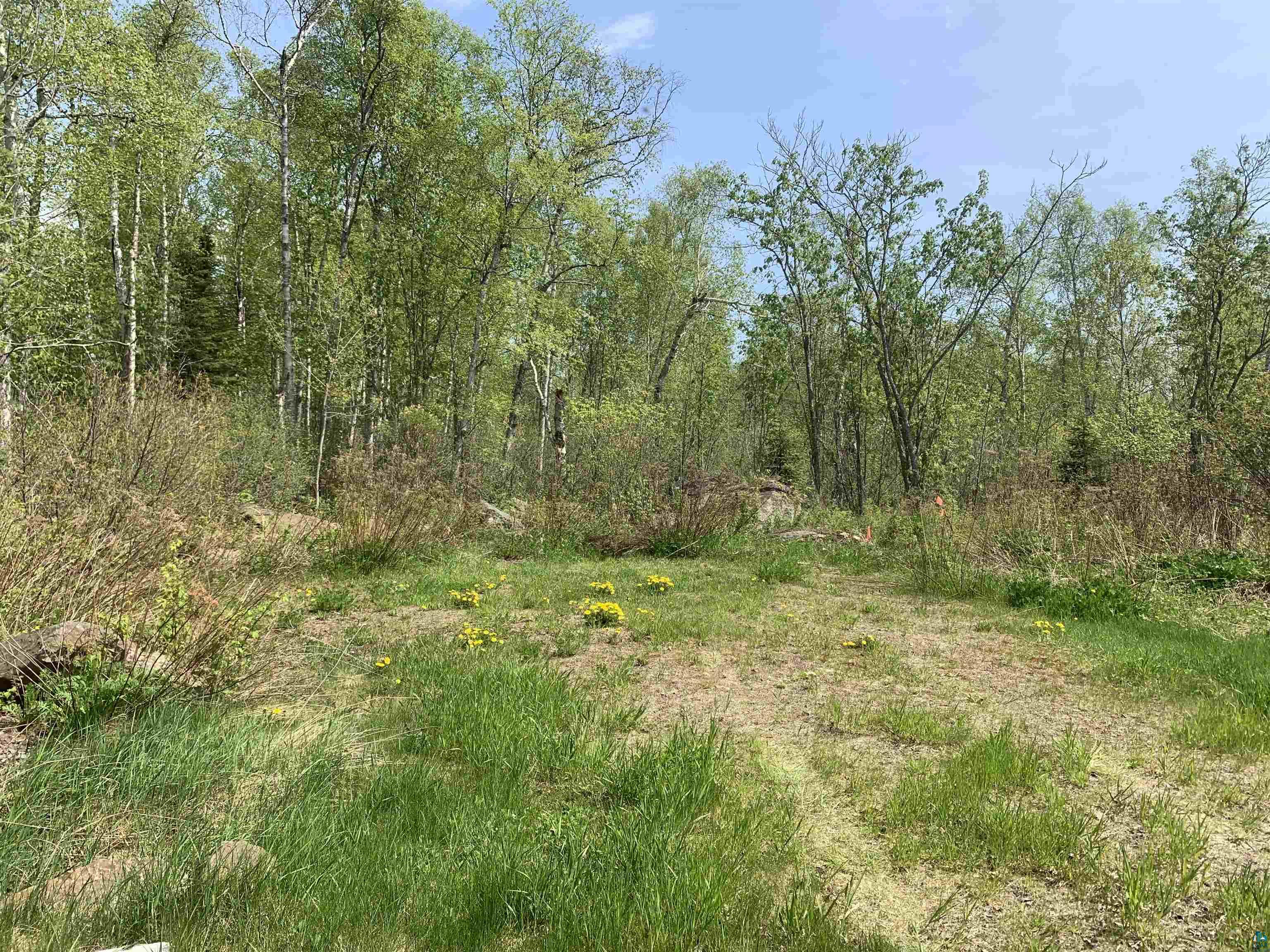 78 Troll's Tr, Hovland, MN 55606 Listing Photo  2