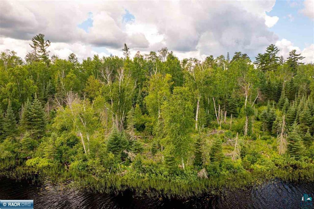 TBD Koski Rd, Tower, MN 55790 Listing Photo  10