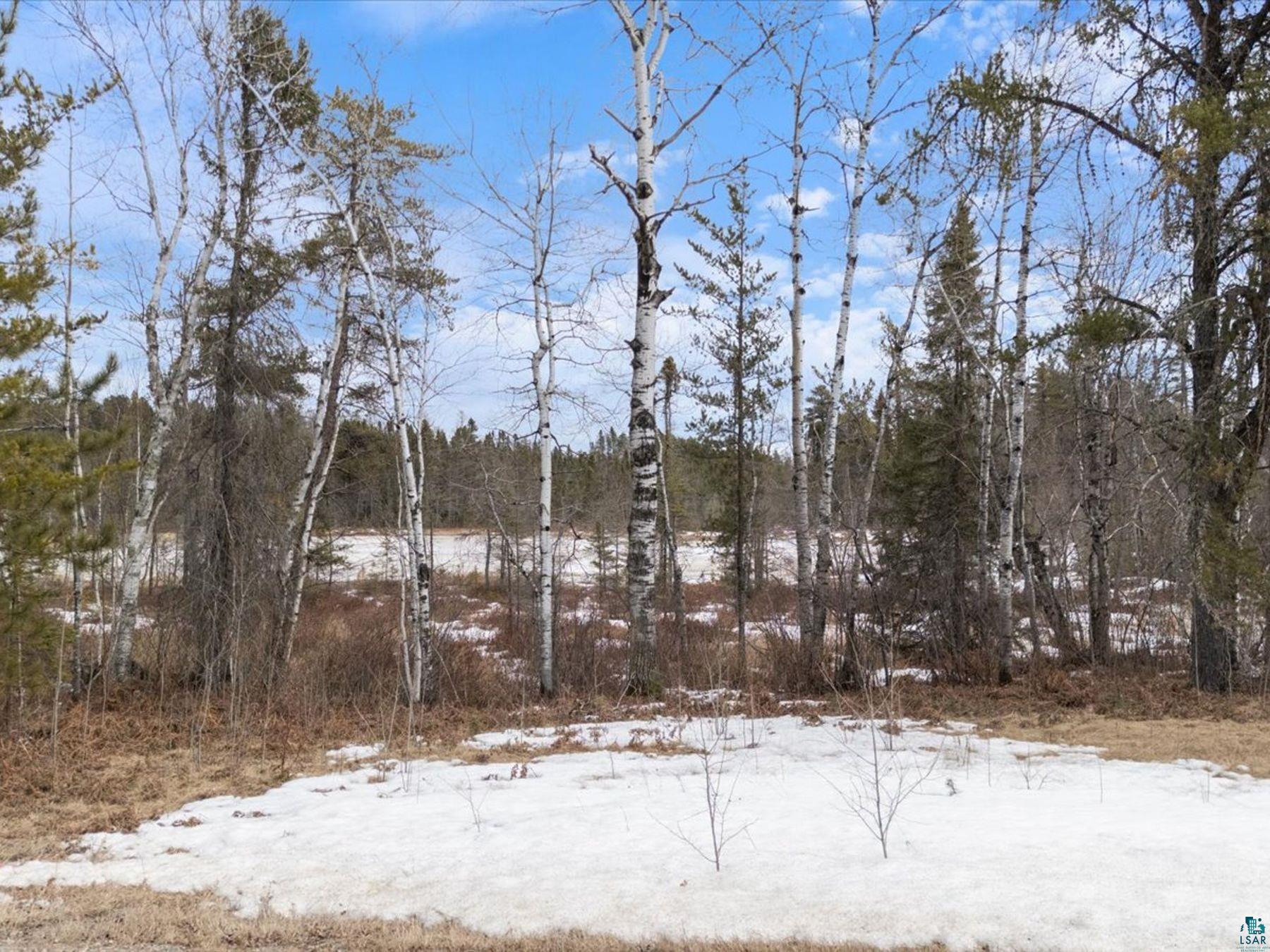 3xxx County Rd 904, Babbitt, MN 55706 Listing Photo  21