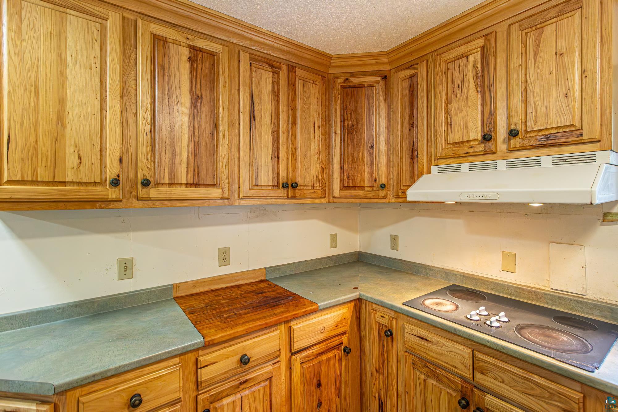 438 Buck View Rd, Ely, MN 55731 Listing Photo  7