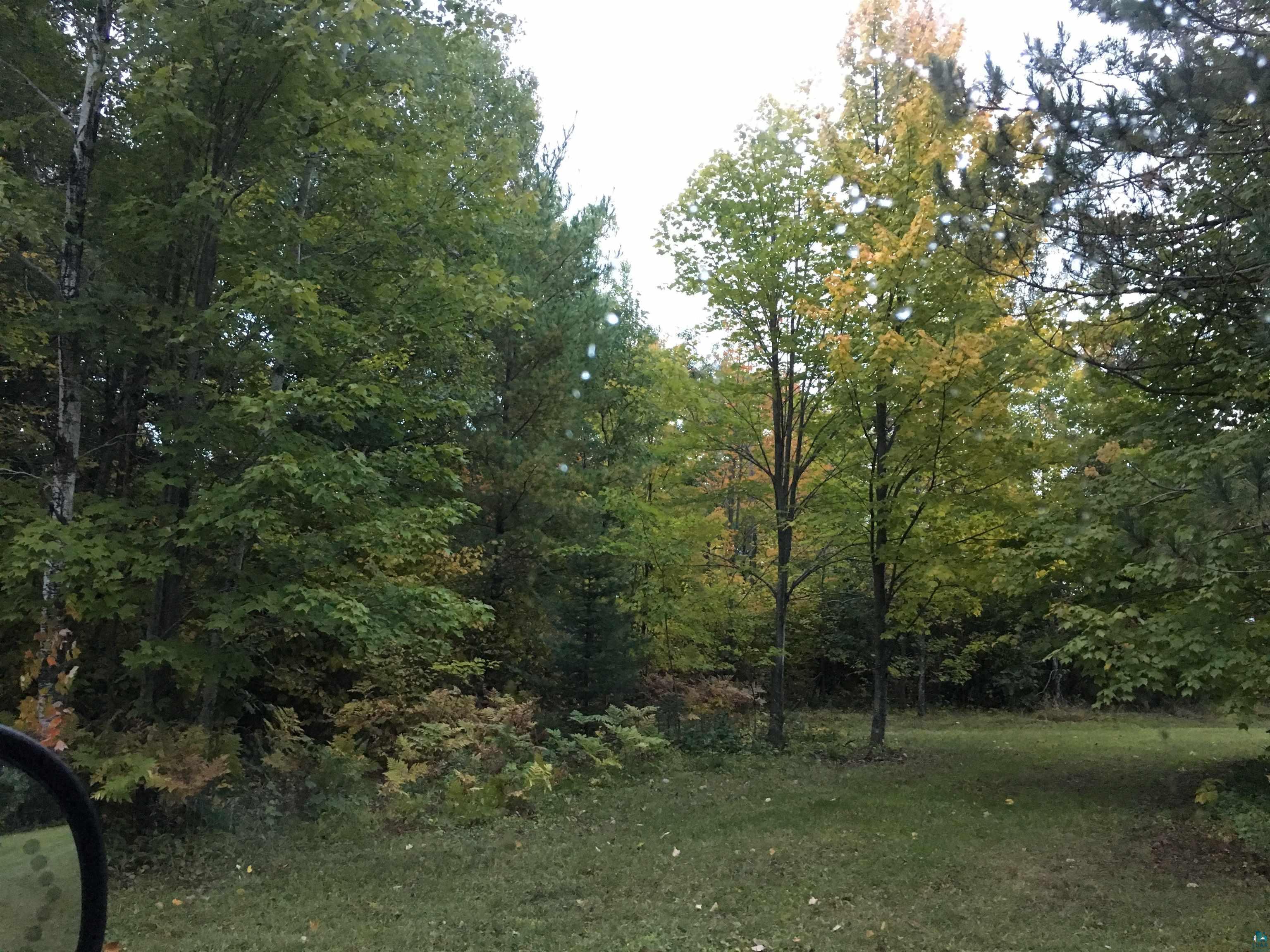 2251 County Rd 5, Carlton, MN 55718 Listing Photo  45
