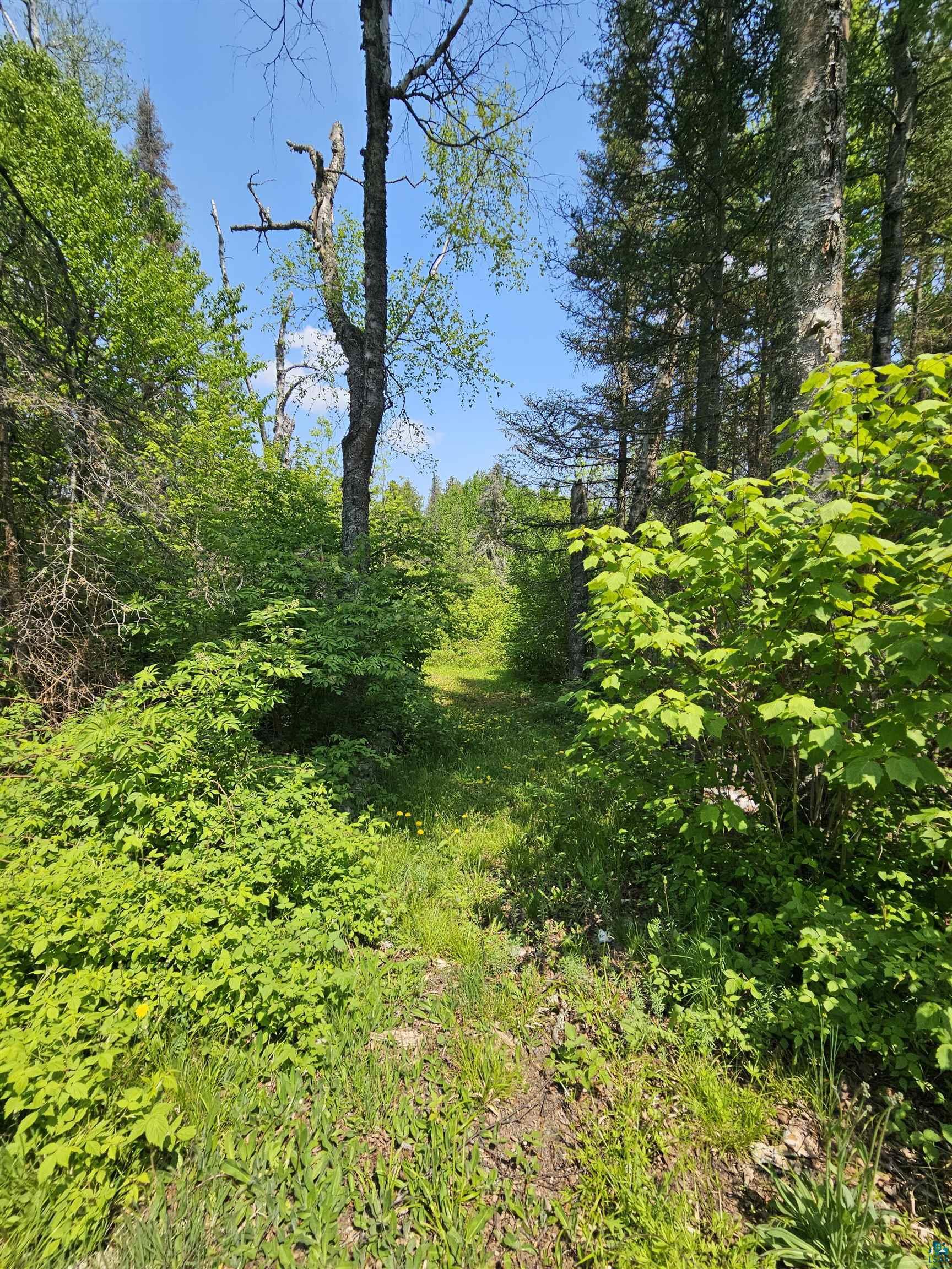839 Loon Rd, Two Harbors, MN 55616 Listing Photo  20