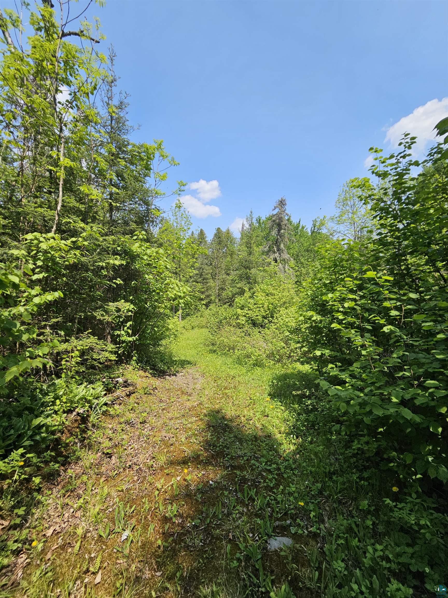 839 Loon Rd, Two Harbors, MN 55616 Listing Photo  21