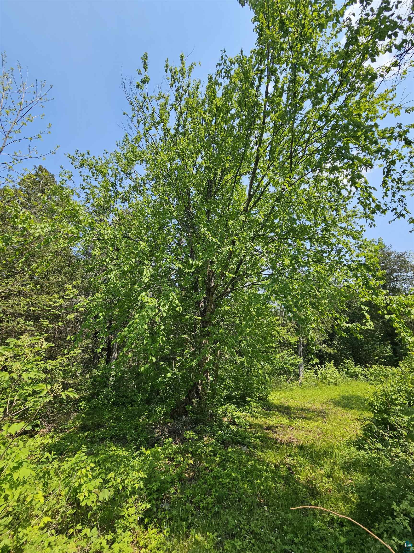 839 Loon Rd, Two Harbors, MN 55616 Listing Photo  22