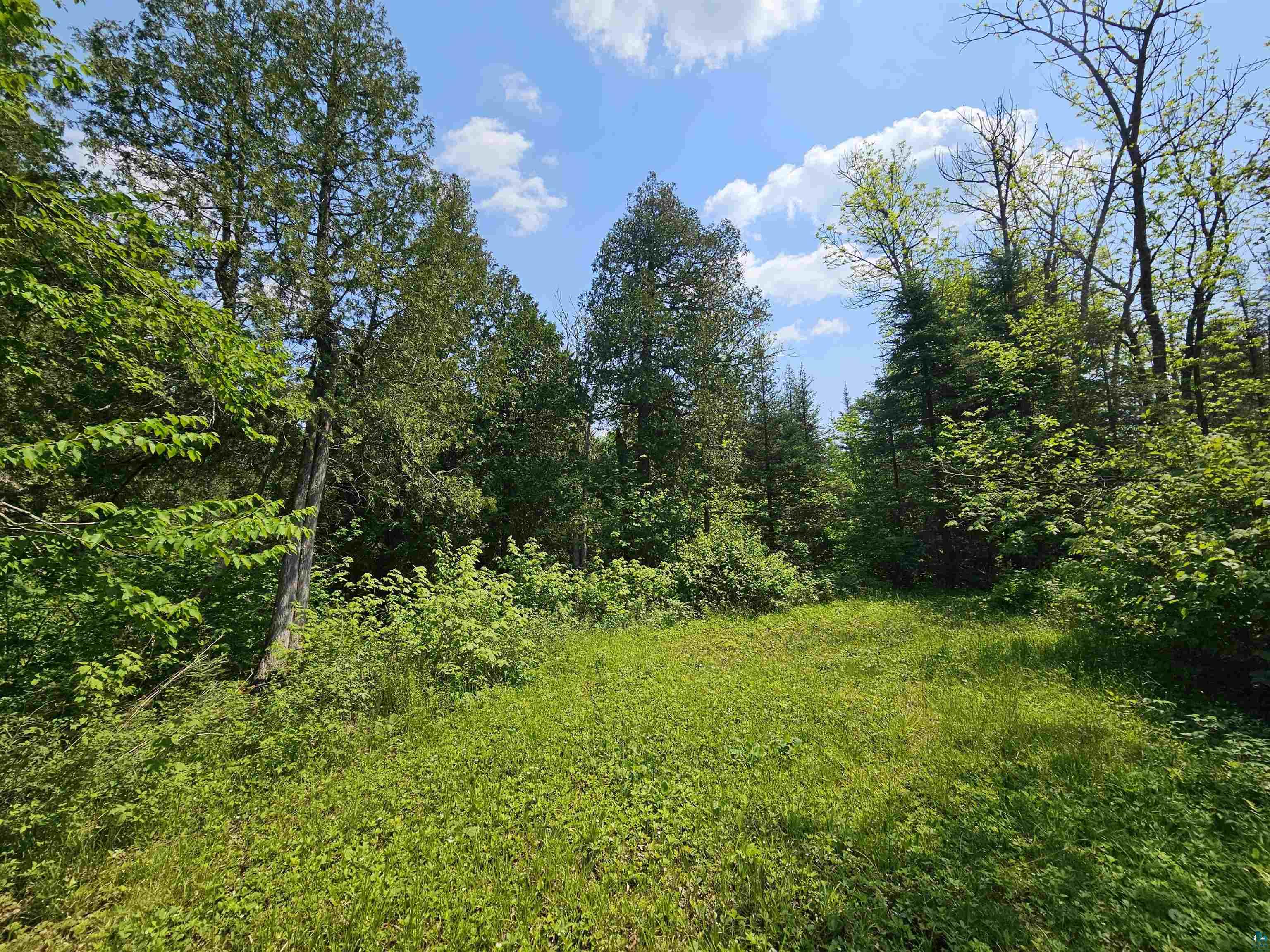 839 Loon Rd, Two Harbors, MN 55616 Listing Photo  23