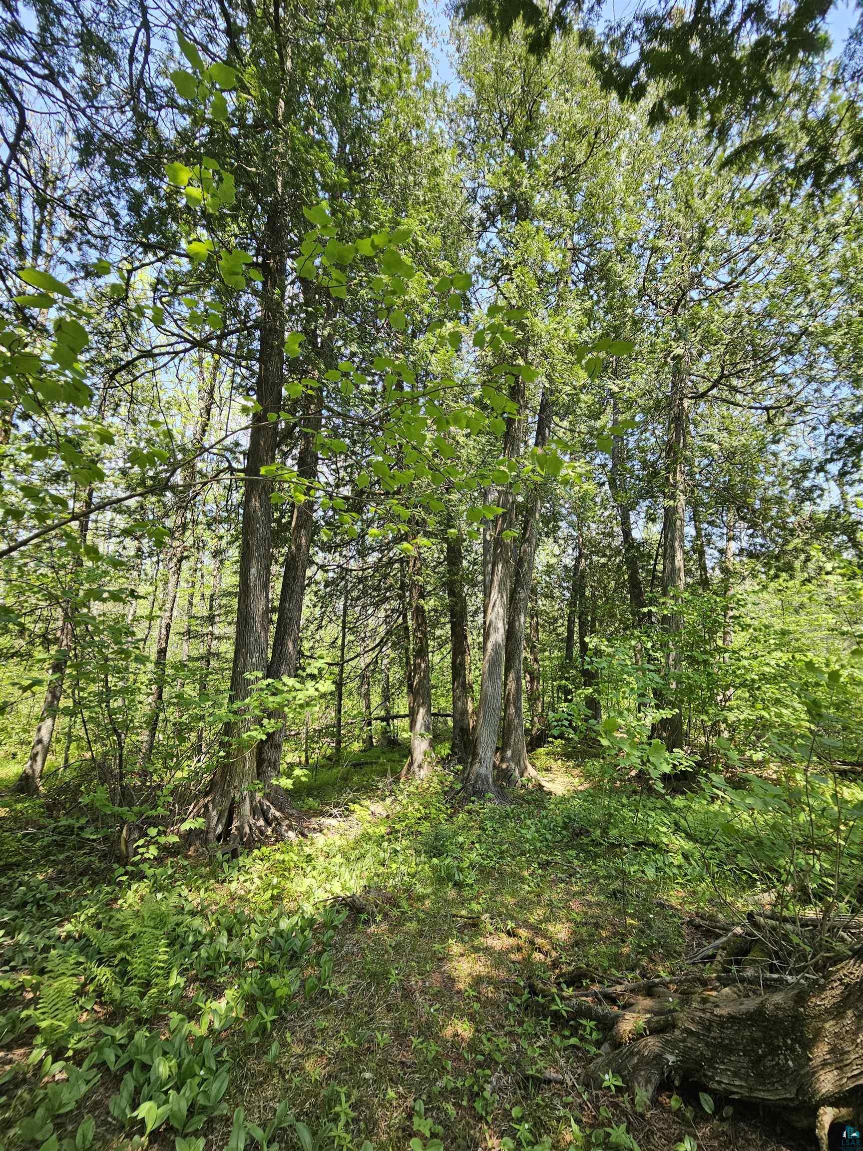 839 Loon Rd, Two Harbors, MN 55616 Listing Photo  25