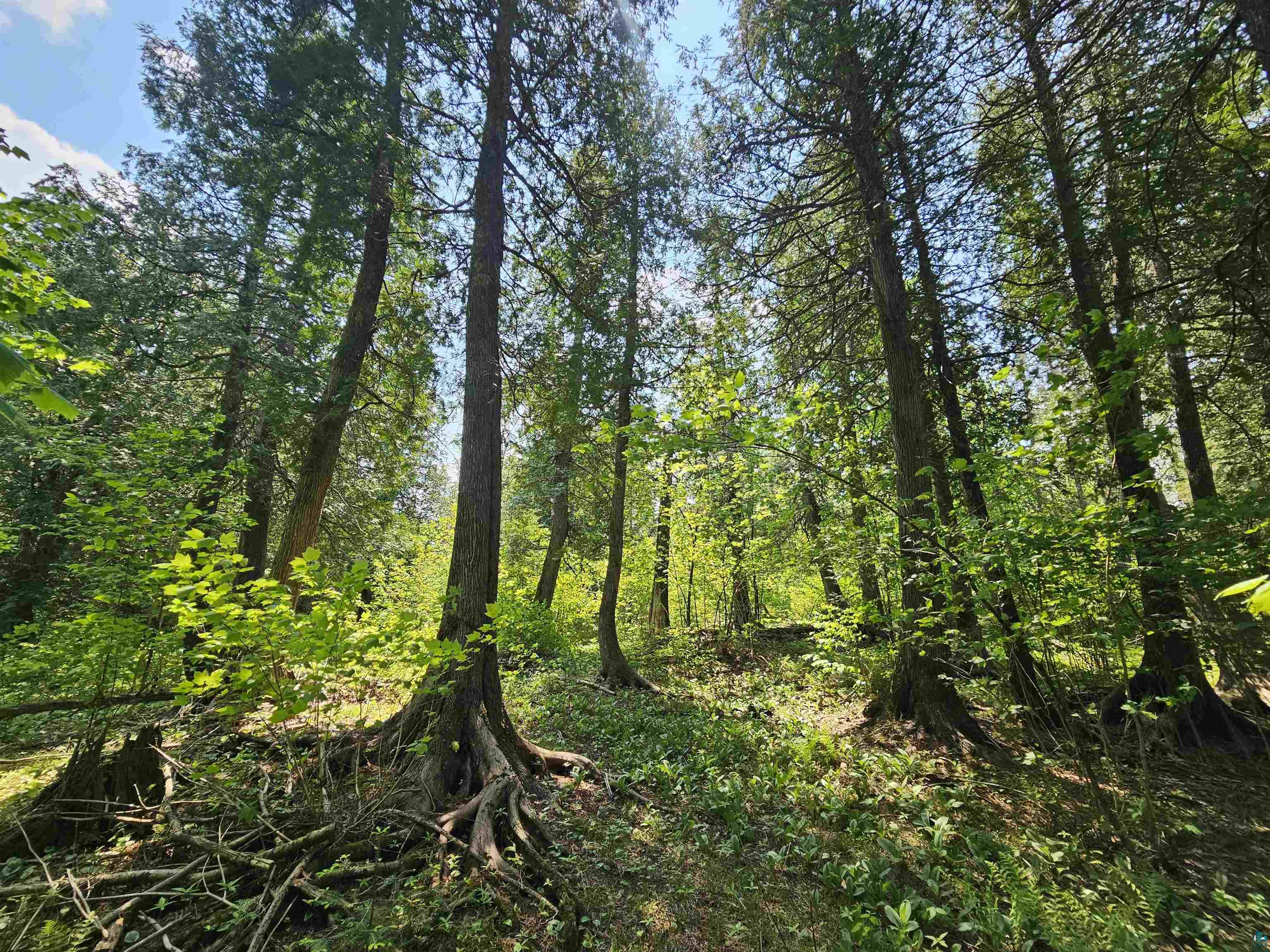 839 Loon Rd, Two Harbors, MN 55616 Listing Photo  26