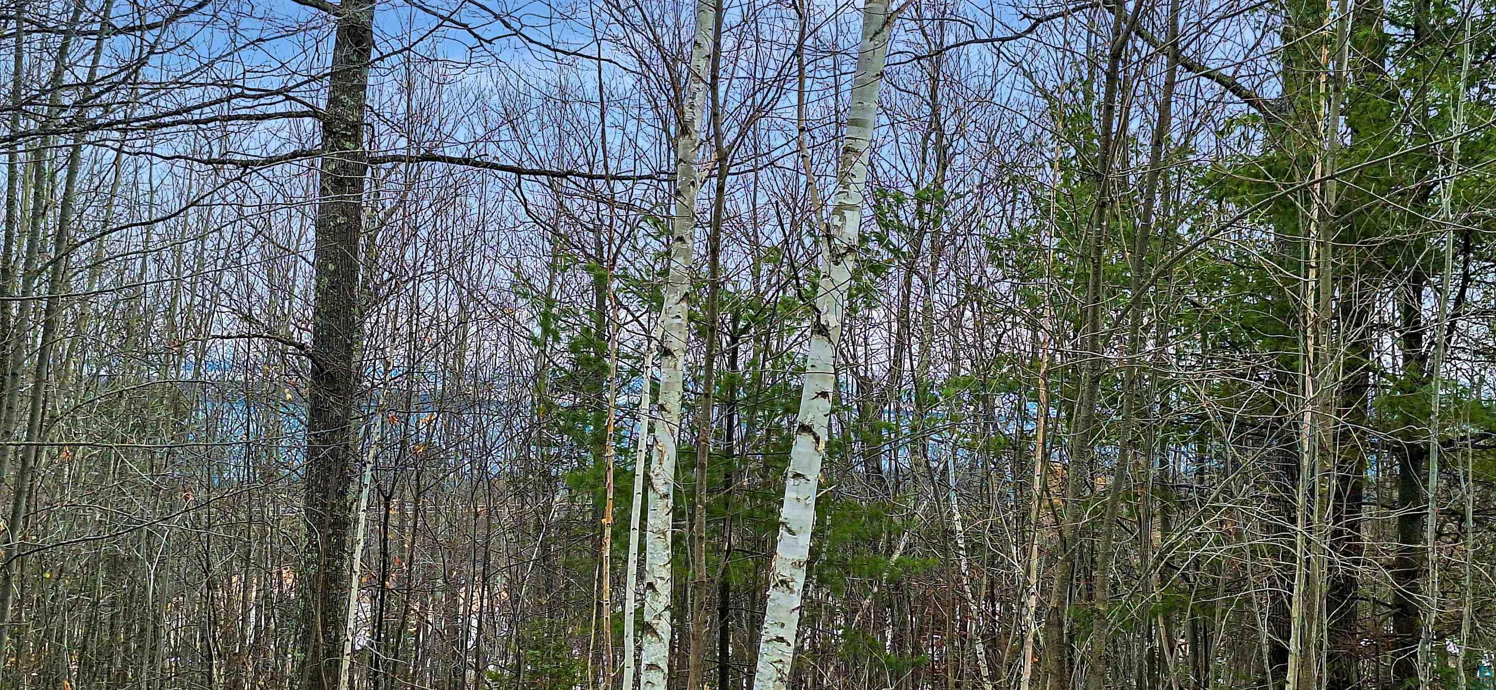 xxx Apple Hill Rd, Bayfield, WI 54814 Listing Photo  2