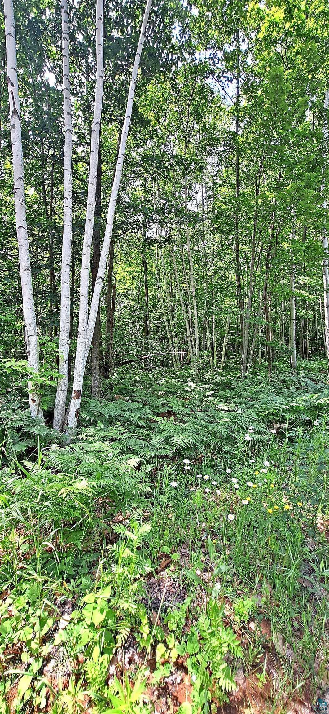 xxx Apple Hill Rd, Bayfield, WI 54814 Listing Photo  12