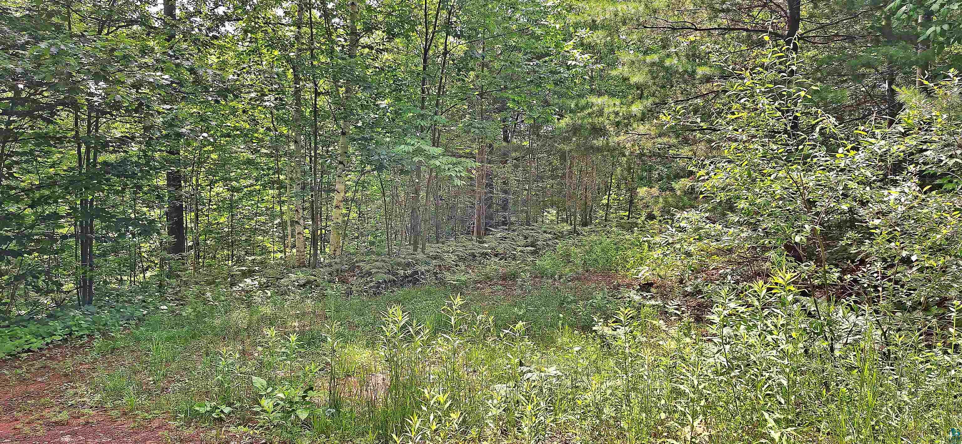 xxx Apple Hill Rd, Bayfield, WI 54814 Listing Photo  13