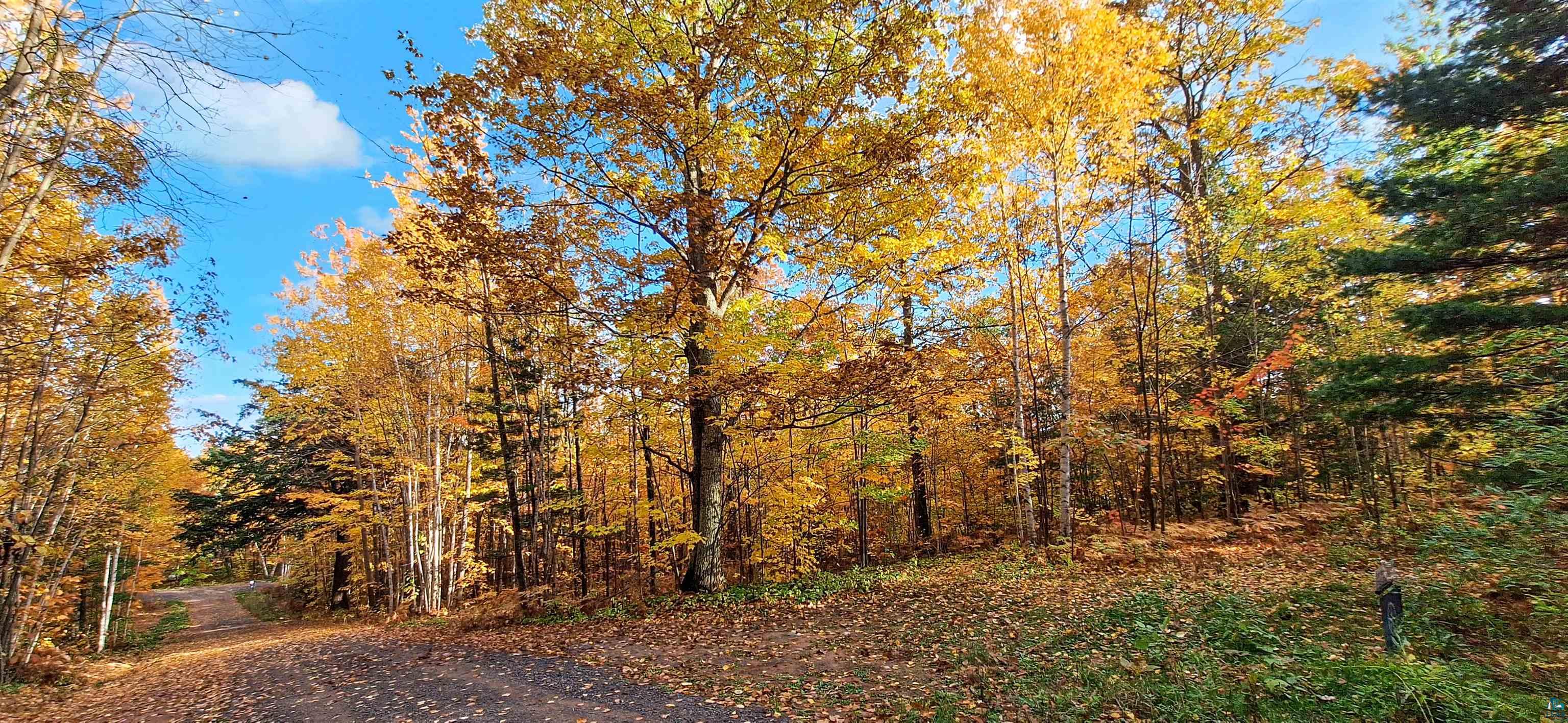 xxx Apple Hill Rd, Bayfield, WI 54814 Listing Photo  16