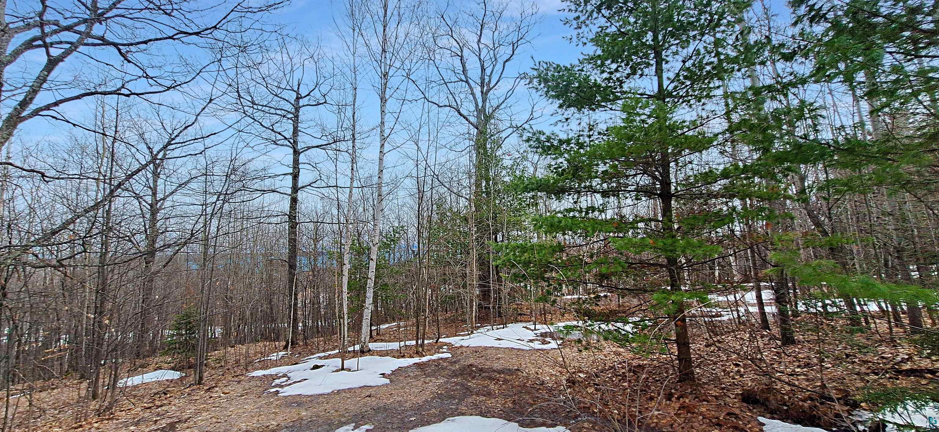 xxx Apple Hill Rd, Bayfield, WI 54814 Listing Photo  17