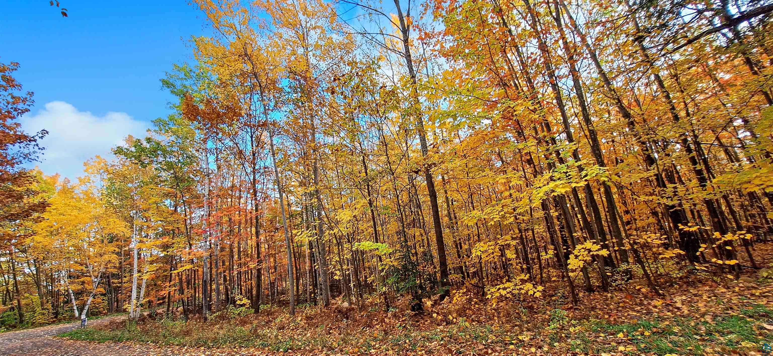 xxx Apple Hill Rd, Bayfield, WI 54814 Listing Photo  3
