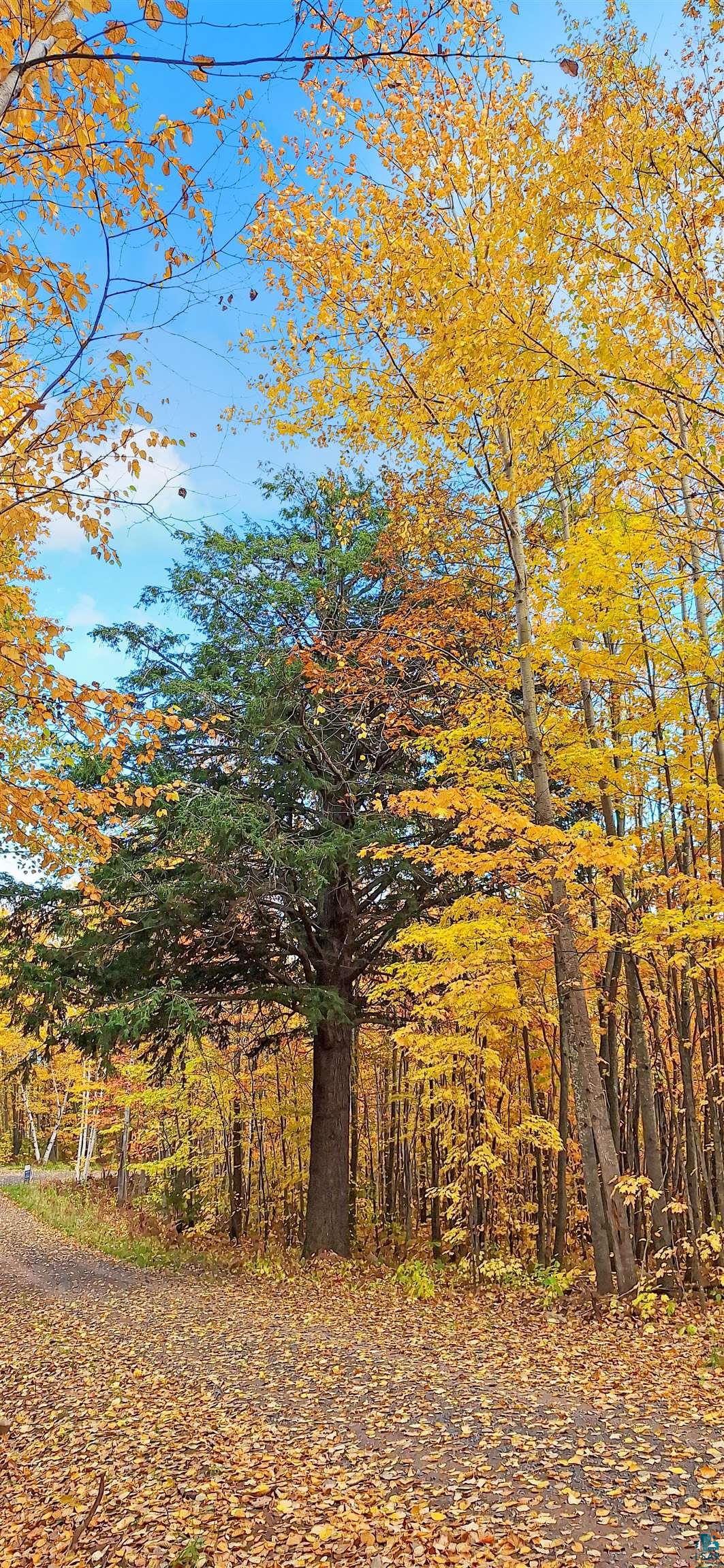 xxx Apple Hill Rd, Bayfield, WI 54814 Listing Photo  4