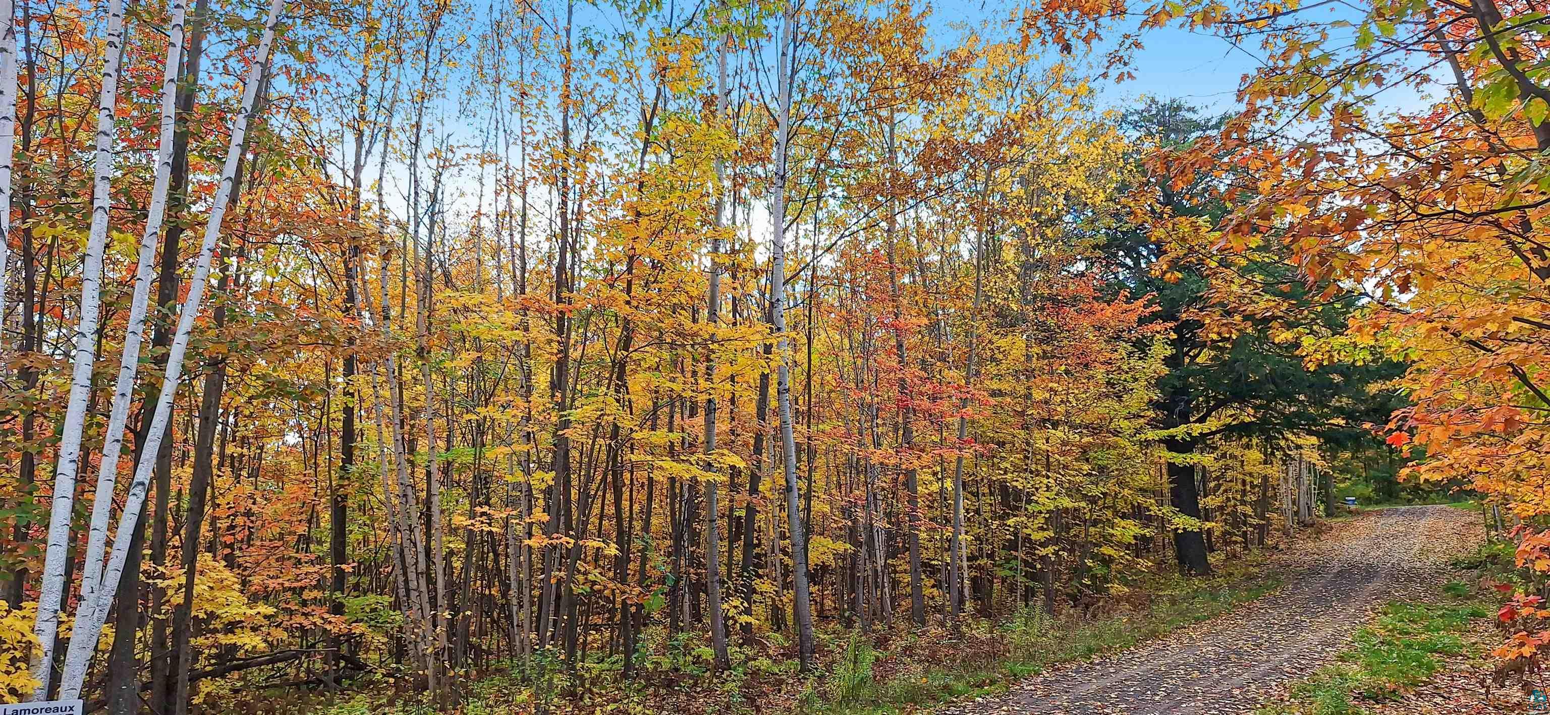 xxx Apple Hill Rd, Bayfield, WI 54814 Listing Photo  5