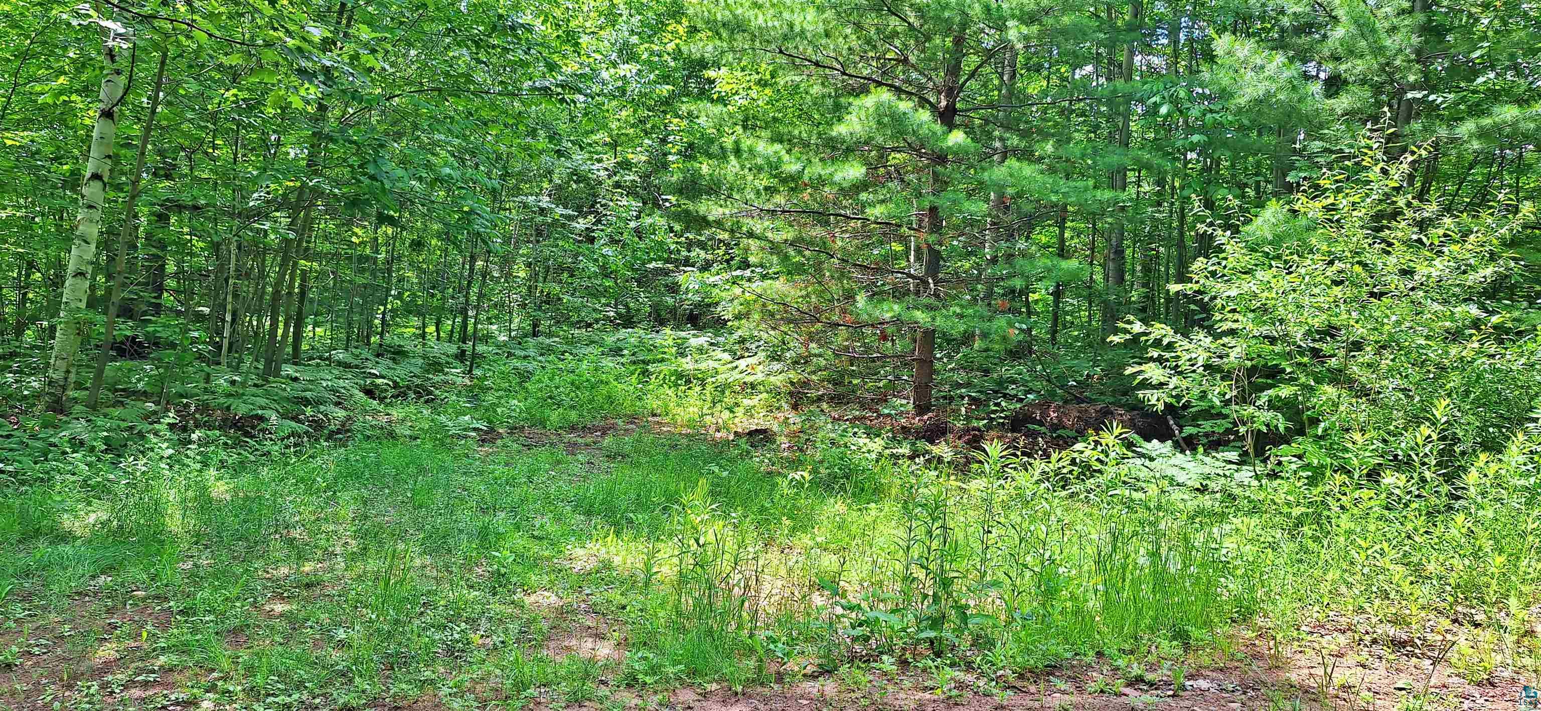 xxx Apple Hill Rd, Bayfield, WI 54814 Listing Photo  7