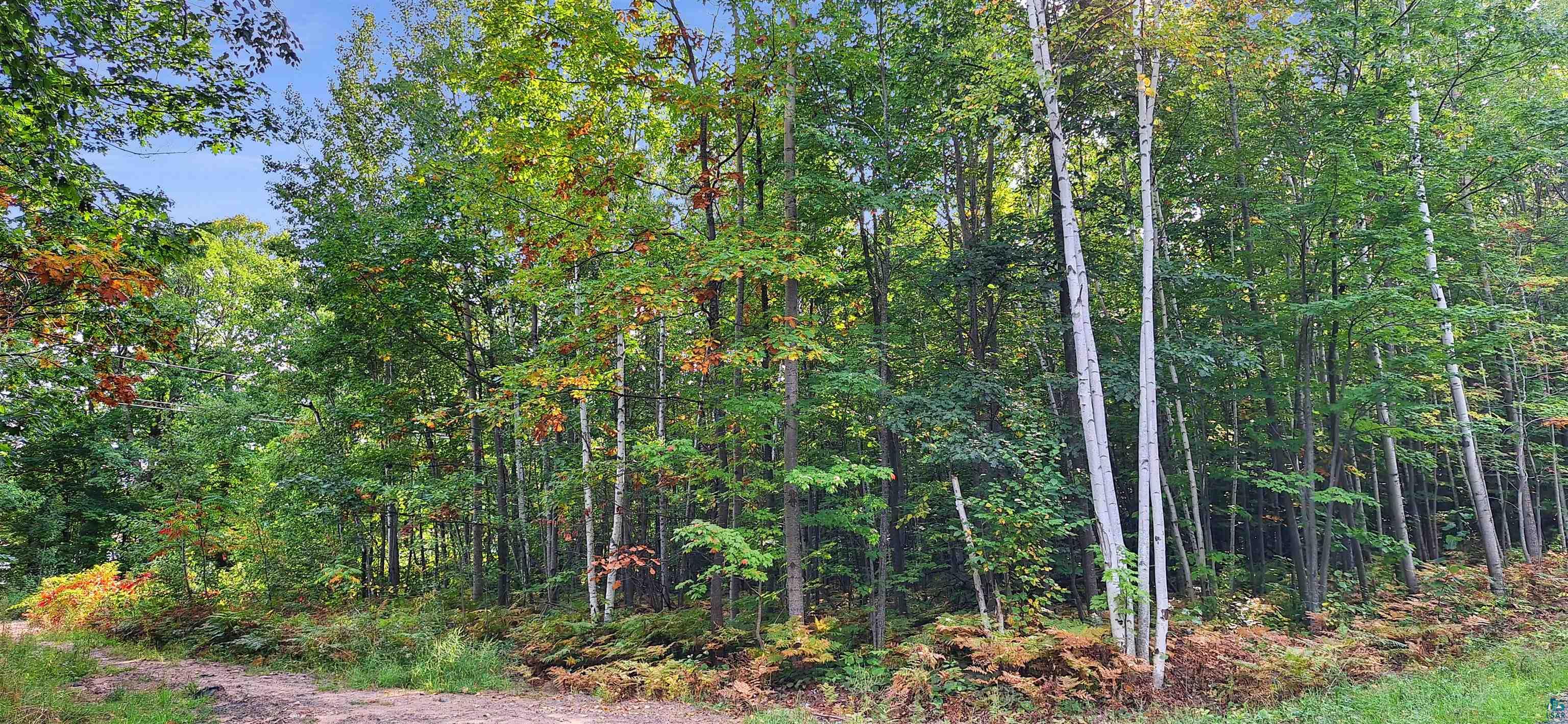 xxx Apple Hill Rd, Bayfield, WI 54814 Listing Photo  8