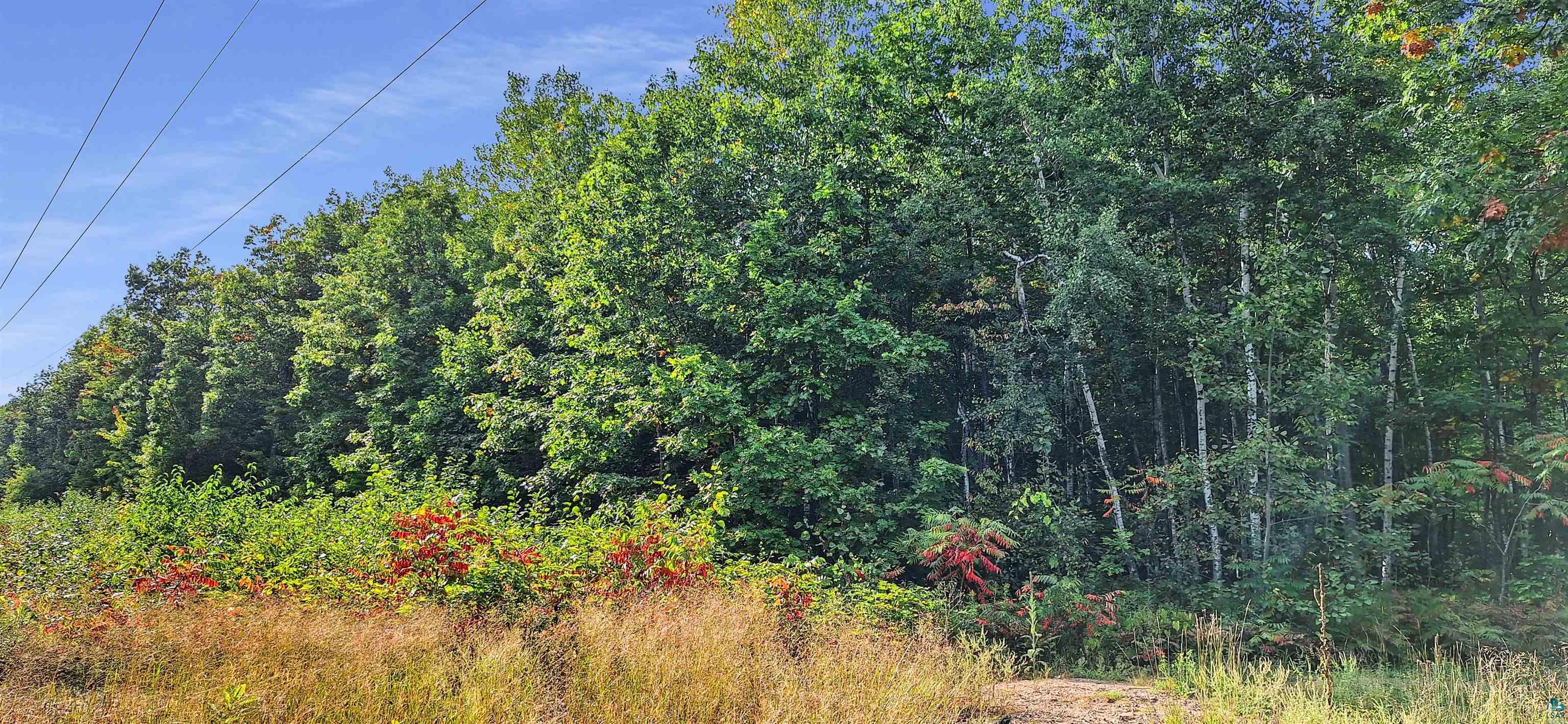 xxx Apple Hill Rd, Bayfield, WI 54814 Listing Photo  9